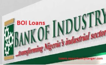 Bank of Industry Loan